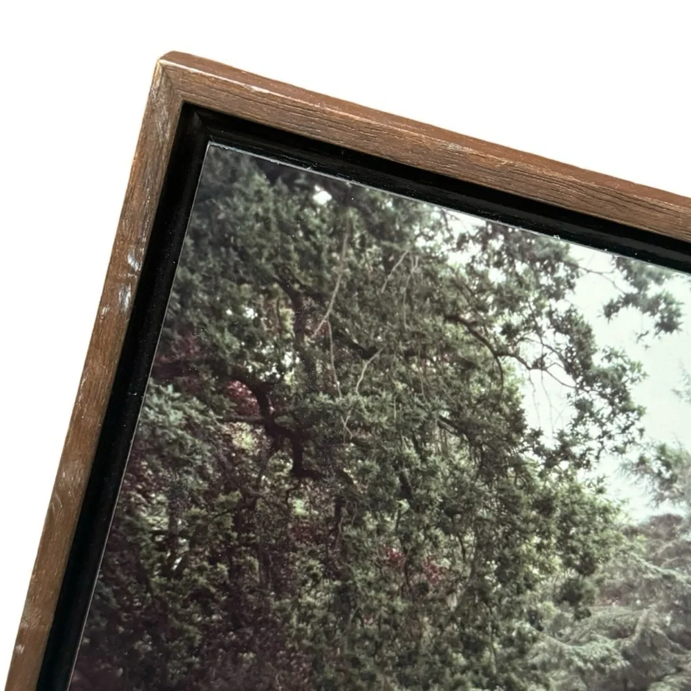 Lohman Photography‎ Coral Azaleas Exbury Gardens  Custom Wood Frame Print 12x15